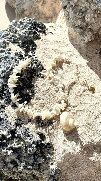 Island Memoir Shell Necklace